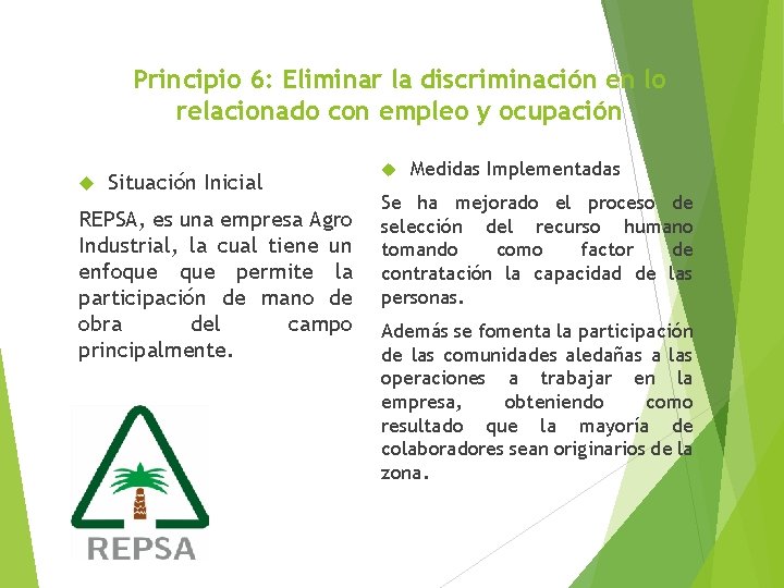 Principio 6: Eliminar la discriminación en lo relacionado con empleo y ocupación Situación Inicial