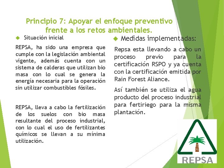 Principio 7: Apoyar el enfoque preventivo frente a los retos ambientales. Situación inicial REPSA,