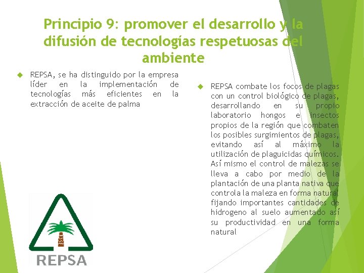 Principio 9: promover el desarrollo y la difusión de tecnologías respetuosas del ambiente REPSA,