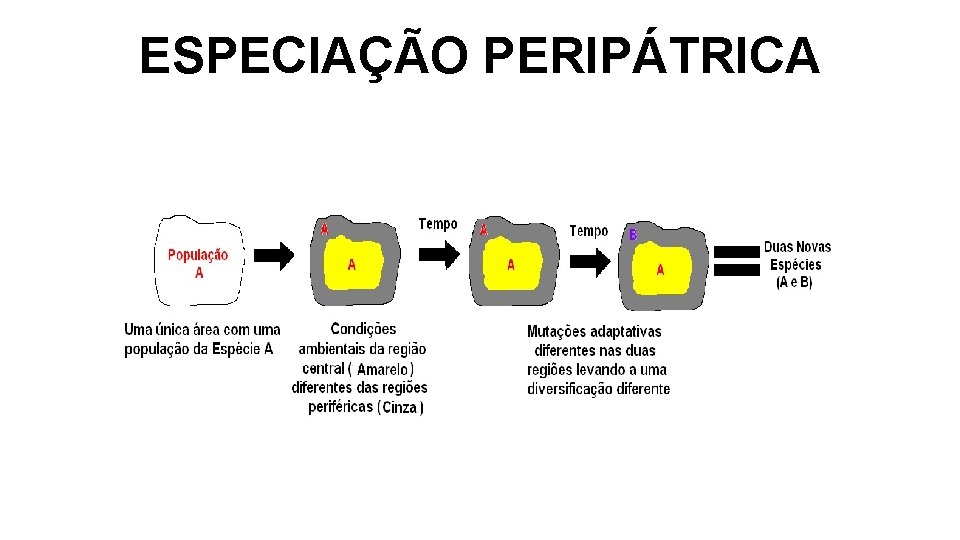 ESPECIAÇÃO PERIPÁTRICA ESPECIAÇÃO PERIPÁTRICA
