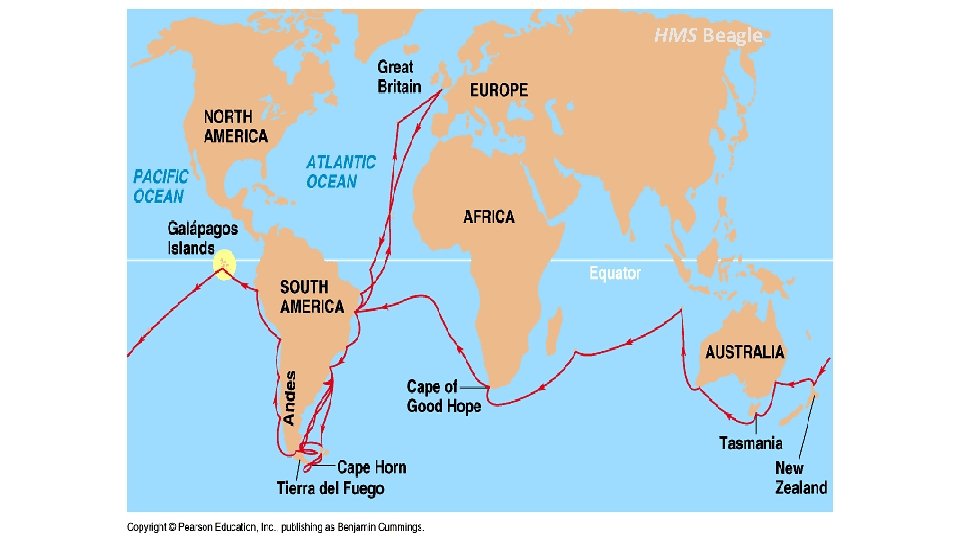 HMS Beagle HMS Beagle