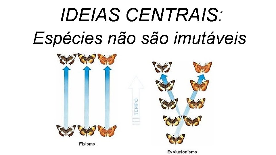 IDEIAS CENTRAIS: Espécies não são imutáveis IDEIAS CENTRAIS: Espécies não são imutáveis