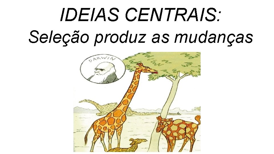 IDEIAS CENTRAIS: Seleção produz as mudanças IDEIAS CENTRAIS: Seleção produz as mudanças