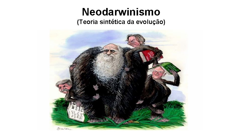 Neodarwinismo (Teoria sintética da evolução) Neodarwinismo (Teoria sintética da evolução)