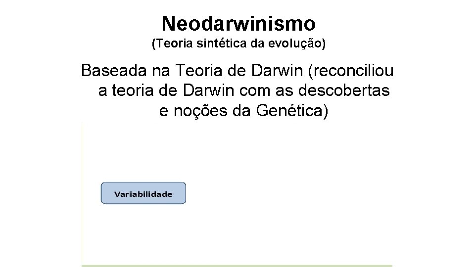 Neodarwinismo (Teoria sintética da evolução) Baseada na Teoria de Darwin (reconciliou a teoria de Neodarwinismo (Teoria sintética da evolução) Baseada na Teoria de Darwin (reconciliou a teoria de