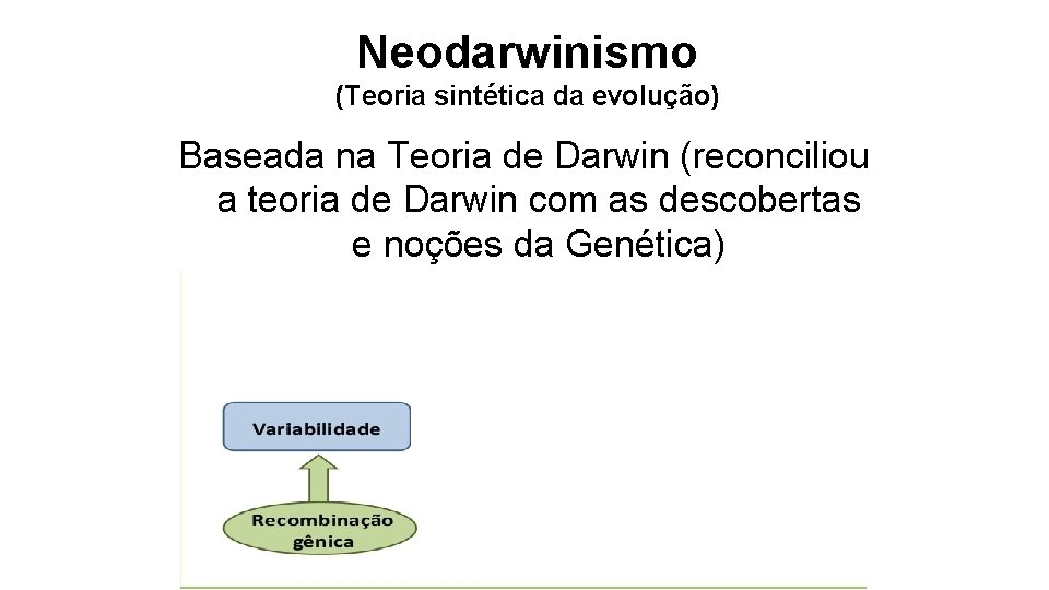 Neodarwinismo (Teoria sintética da evolução) Baseada na Teoria de Darwin (reconciliou a teoria de Neodarwinismo (Teoria sintética da evolução) Baseada na Teoria de Darwin (reconciliou a teoria de