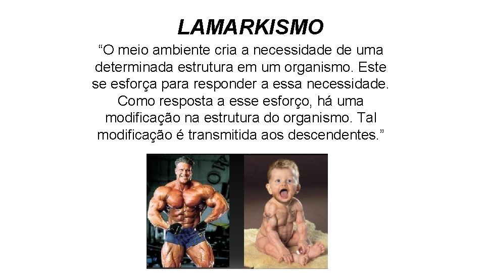 LAMARKISMO “O meio ambiente cria a necessidade de uma determinada estrutura em um organismo. LAMARKISMO “O meio ambiente cria a necessidade de uma determinada estrutura em um organismo.