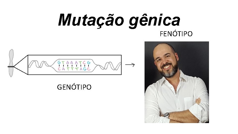 Mutação gênica FENÓTIPO GENÓTIPO Mutação gênica FENÓTIPO GENÓTIPO
