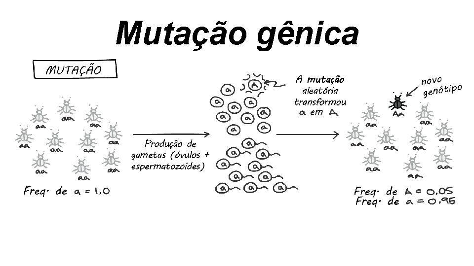 Mutação gênica Mutação gênica