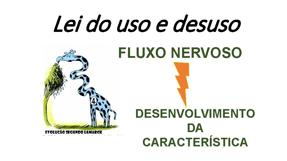 Lei do uso e desuso FLUXO NERVOSO DESENVOLVIMENTO DA CARACTERÍSTICA Lei do uso e desuso FLUXO NERVOSO DESENVOLVIMENTO DA CARACTERÍSTICA