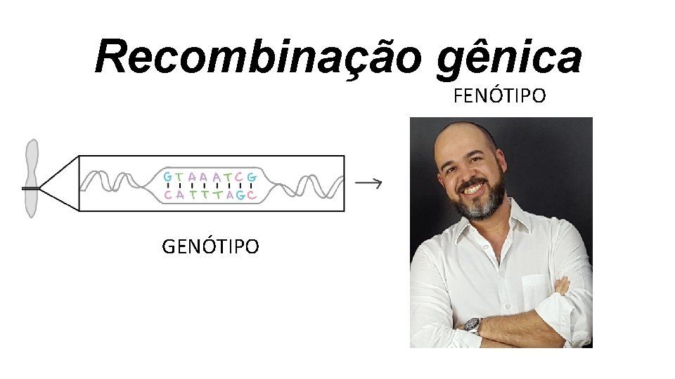 Recombinação gênica FENÓTIPO GENÓTIPO Recombinação gênica FENÓTIPO GENÓTIPO