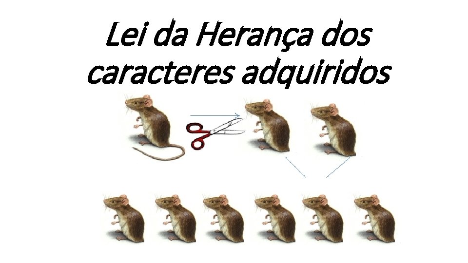 Lei da Herança dos caracteres adquiridos Lei da Herança dos caracteres adquiridos