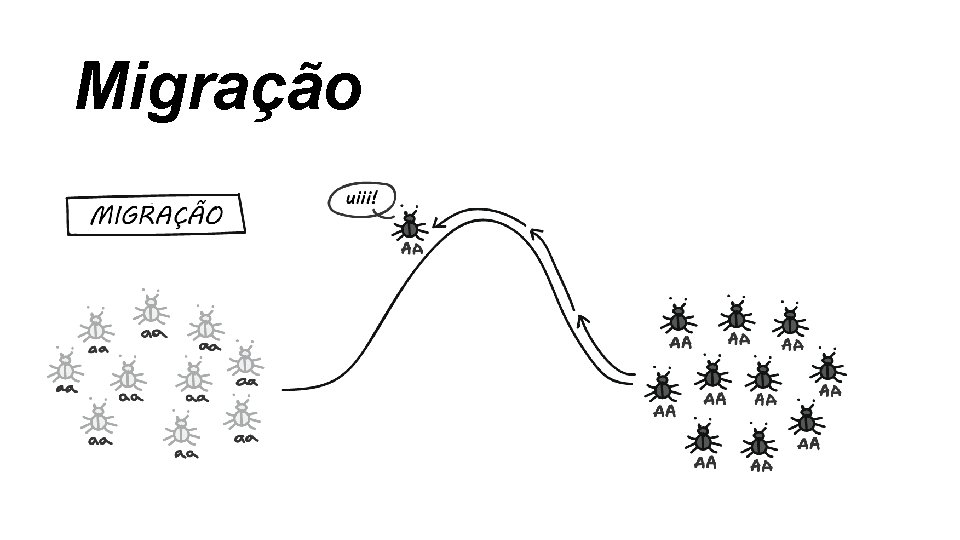 Migração Migração