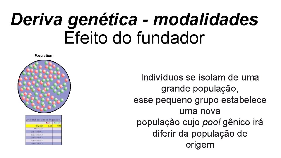 Deriva genética - modalidades Efeito do fundador Indivíduos se isolam de uma grande população, Deriva genética - modalidades Efeito do fundador Indivíduos se isolam de uma grande população,