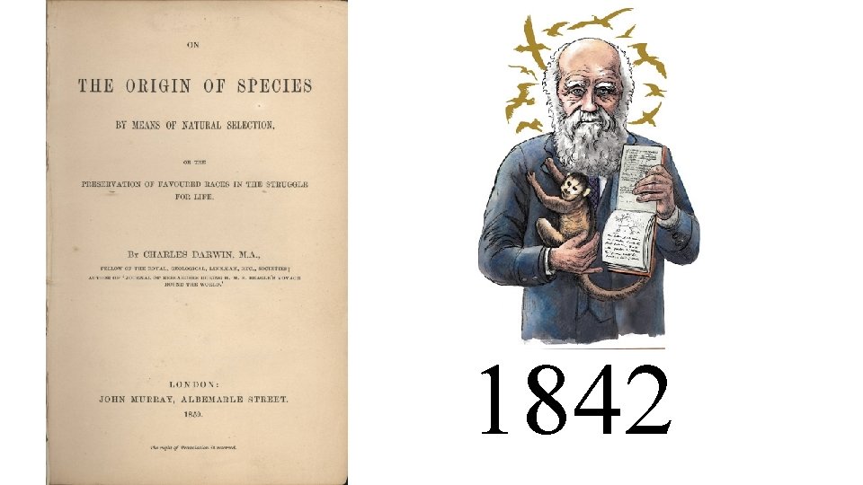 1842 1842
