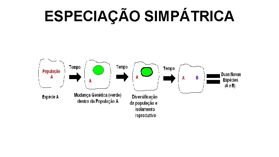 ESPECIAÇÃO SIMPÁTRICA ESPECIAÇÃO SIMPÁTRICA