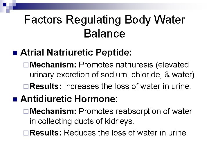 Factors Regulating Body Water Balance n Atrial Natriuretic Peptide: ¨ Mechanism: Promotes natriuresis (elevated