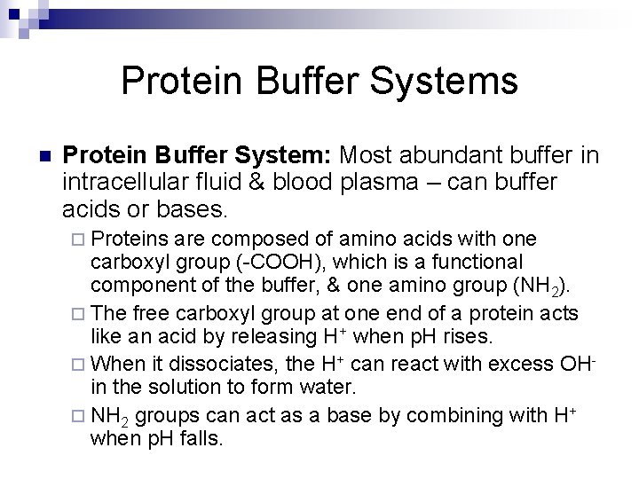 Protein Buffer Systems n Protein Buffer System: Most abundant buffer in intracellular fluid &