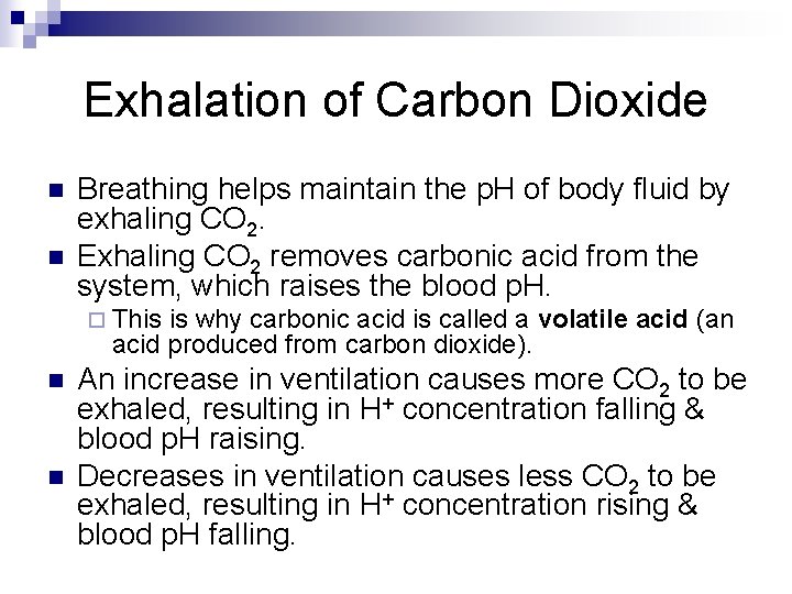 Exhalation of Carbon Dioxide n n Breathing helps maintain the p. H of body