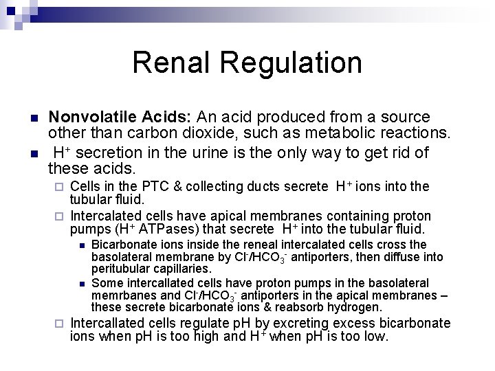 Renal Regulation n n Nonvolatile Acids: An acid produced from a source other than