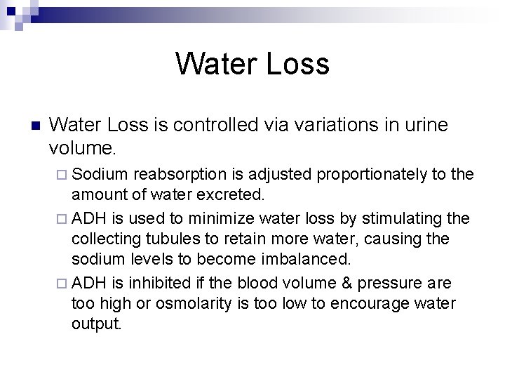 Water Loss n Water Loss is controlled via variations in urine volume. ¨ Sodium