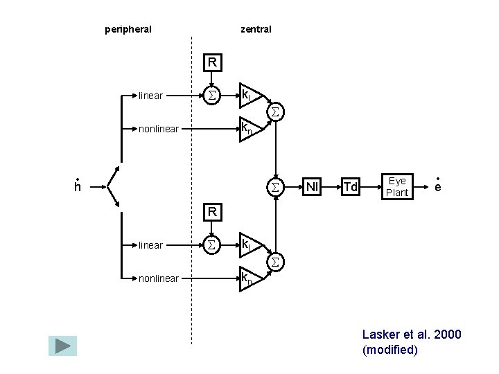 peripheral zentral R linear kl kn nonlinear • h NI Td Eye Plant •