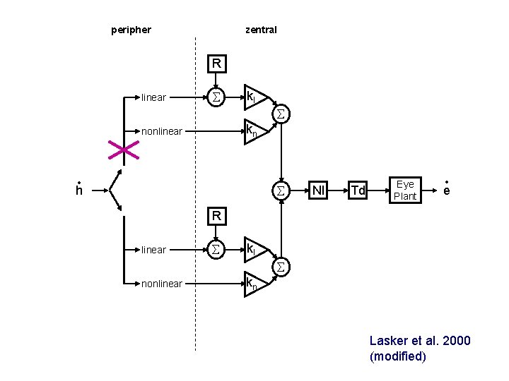 peripher zentral R linear kl kn nonlinear • h NI Td Eye Plant •