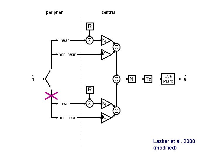peripher zentral R linear kl kn nonlinear • h NI Td Eye Plant •