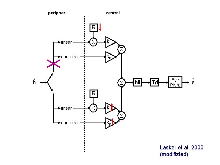 peripher zentral R linear kl kn nonlinear • h NI Td Eye Plant •