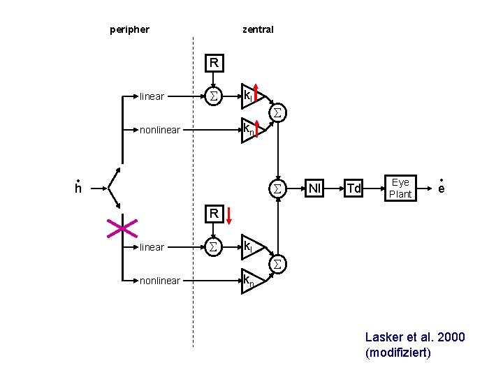 peripher zentral R linear kl kn nonlinear • h NI Td Eye Plant •