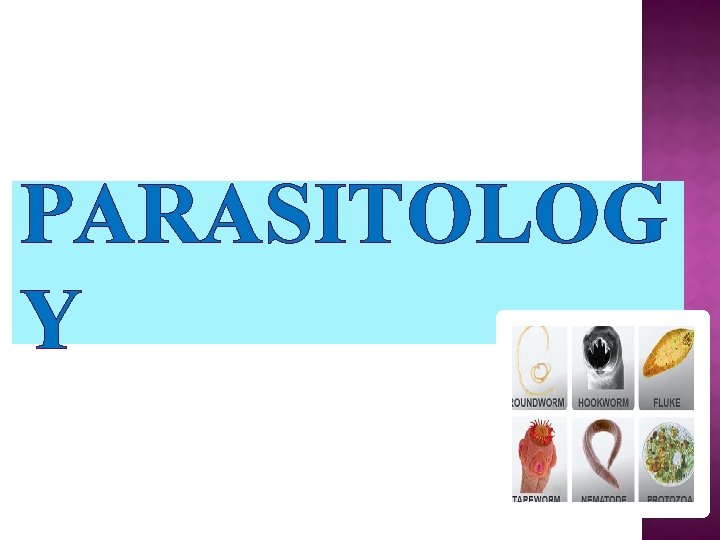 PARASITOLOG Y PARASITOLOG Y