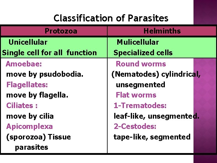 Classification of Parasites Protozoa Unicellular Single cell for all function Amoebae: move by psudobodia.