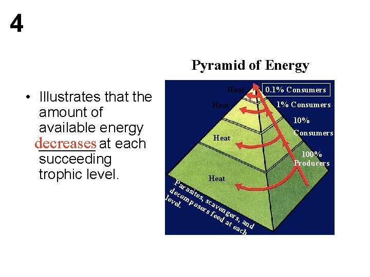 4 Pyramid of Energy • Illustrates that the amount of available energy _______ at