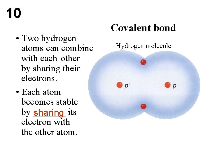 10 • Two hydrogen atoms can combine with each other by sharing their electrons.