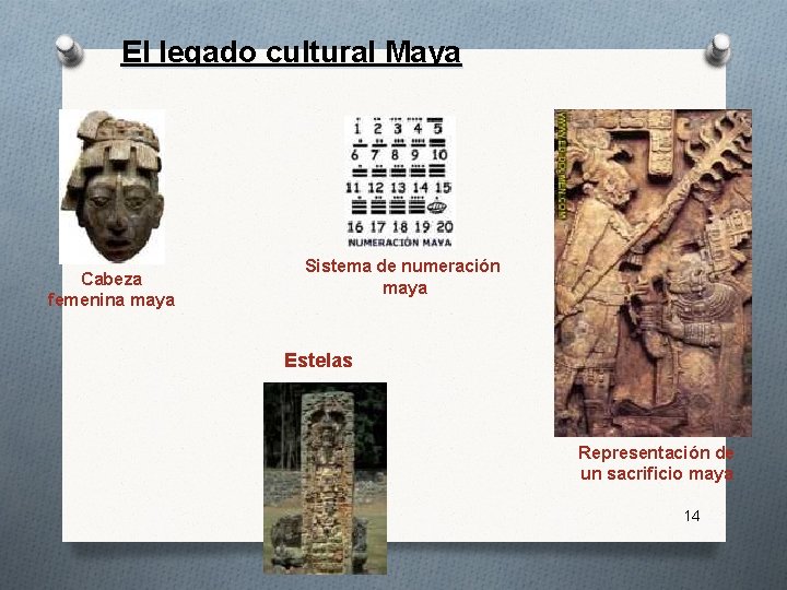 El legado cultural Maya Cabeza femenina maya Sistema de numeración maya Estelas Representación de