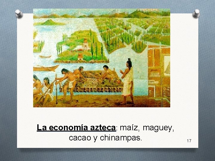La economía azteca: maíz, maguey, cacao y chinampas. 17 