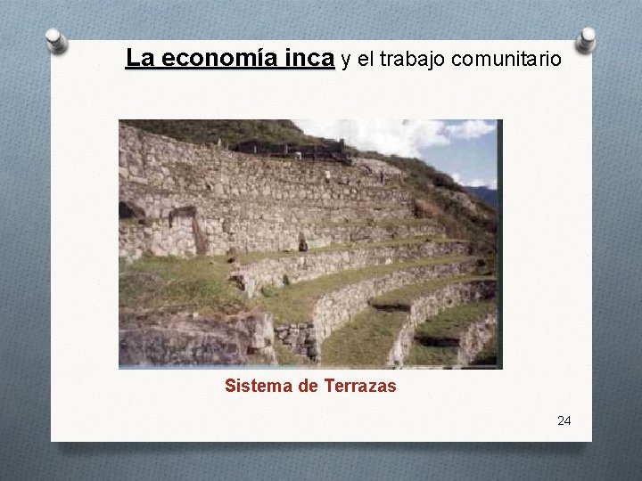 La economía inca y el trabajo comunitario Sistema de Terrazas 24 