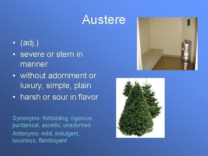 Austere • (adj. ) • severe or stern in manner • without adornment or