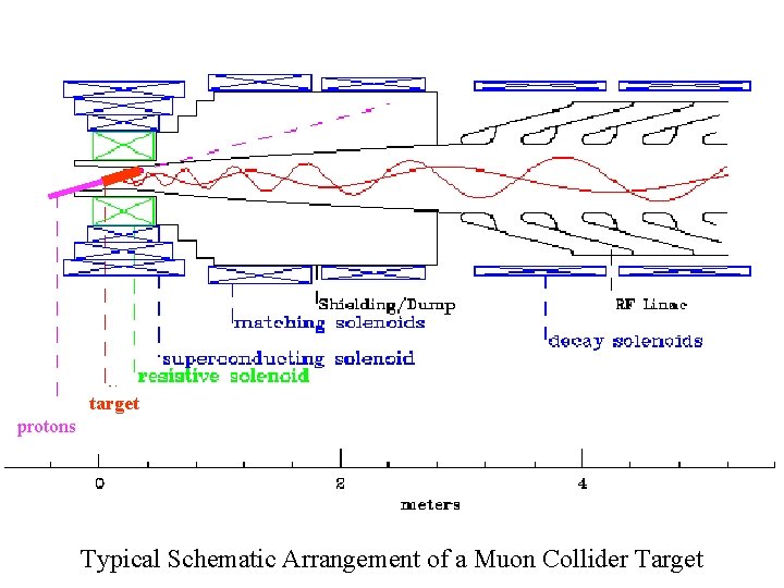 target protons Typical Schematic Arrangement of a Muon Collider Target 