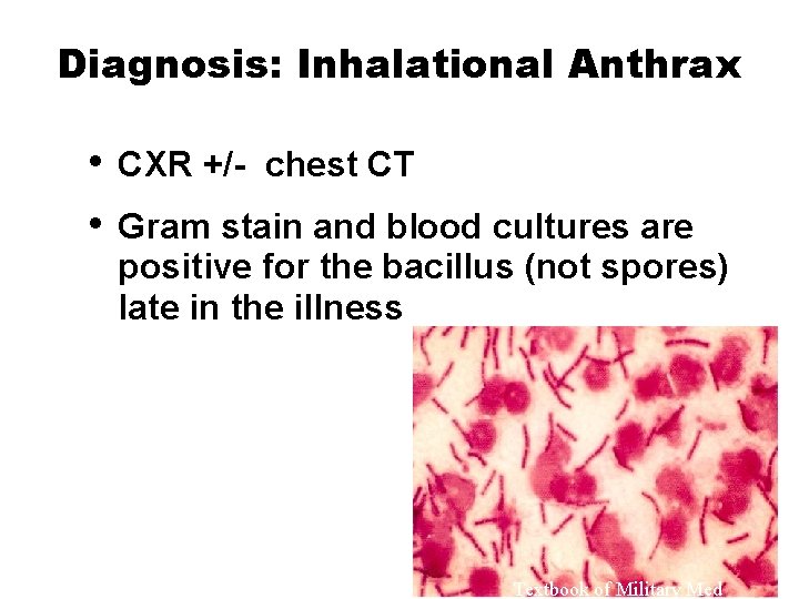 Diagnosis: Inhalational Anthrax • • CXR +/- chest CT Gram stain and blood cultures