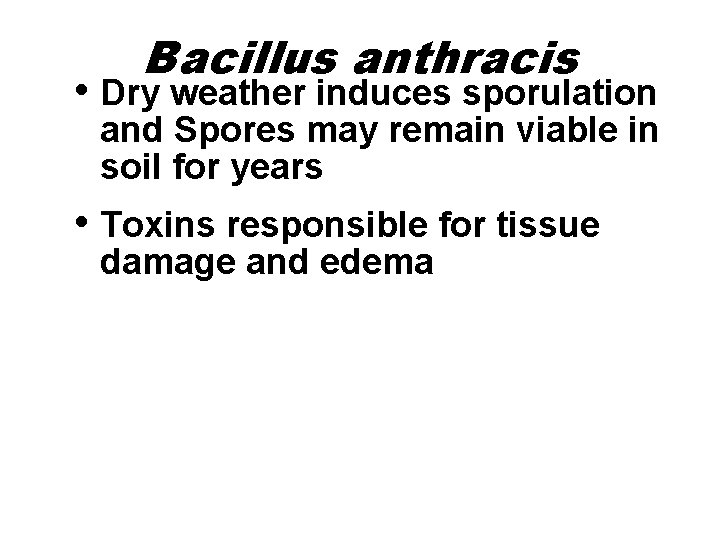 Bacillus anthracis • Dry weather induces sporulation and Spores may remain viable in soil