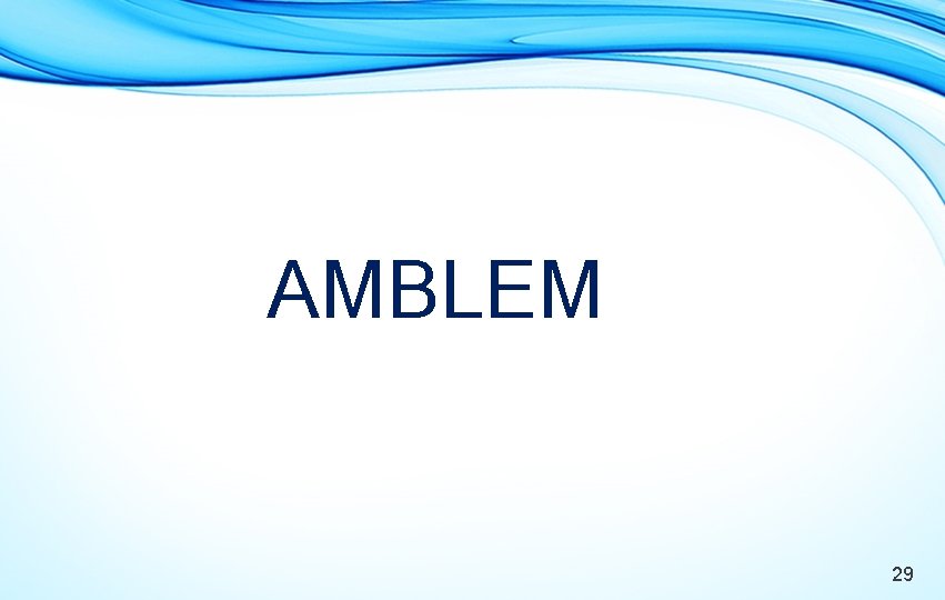 AMBLEM 29 