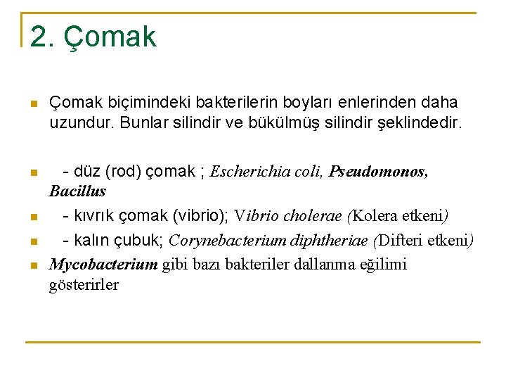 2. Çomak n Çomak biçimindeki bakterilerin boyları enlerinden daha uzundur. Bunlar silindir ve bükülmüş