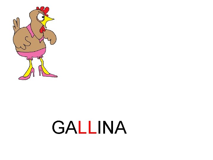GALLINA 