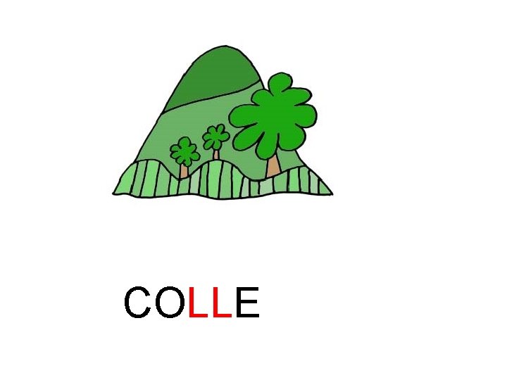 COLLE 