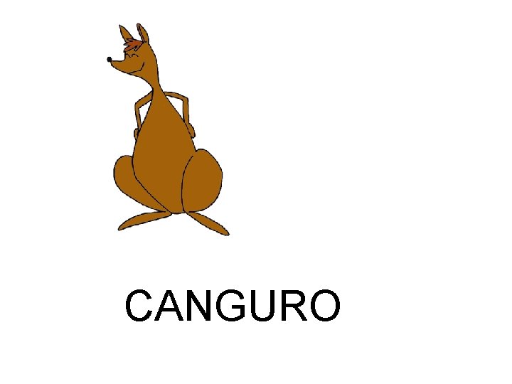 CANGURO 