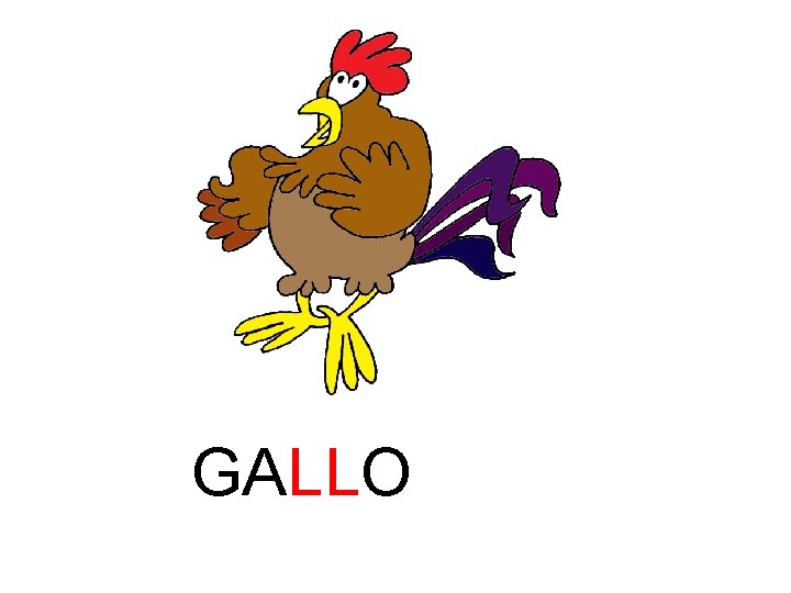 GALLO 