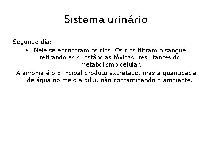 Sistema urinário Segundo dia: • Nele se encontram os rins. Os rins filtram o