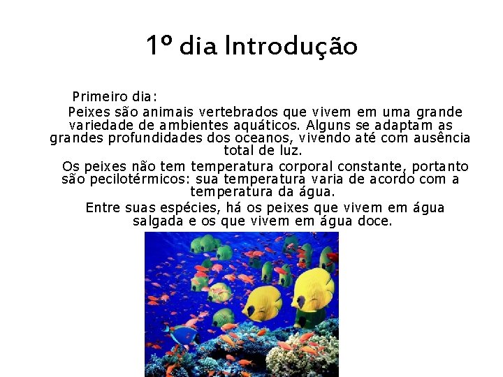 1º dia Introdução Primeiro dia: Peixes são animais vertebrados que vivem em uma grande