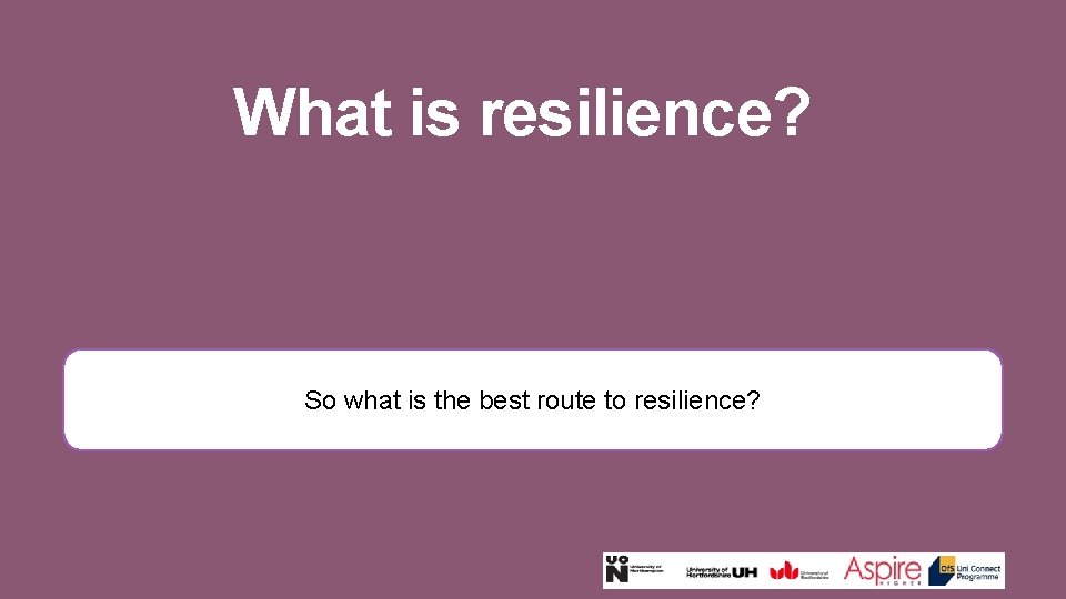 What is resilience? So what is the best route to resilience? 